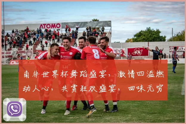 南非世界杯舞蹈盛宴，激情四溢燃动人心，共赏狂欢盛宴，回味无穷