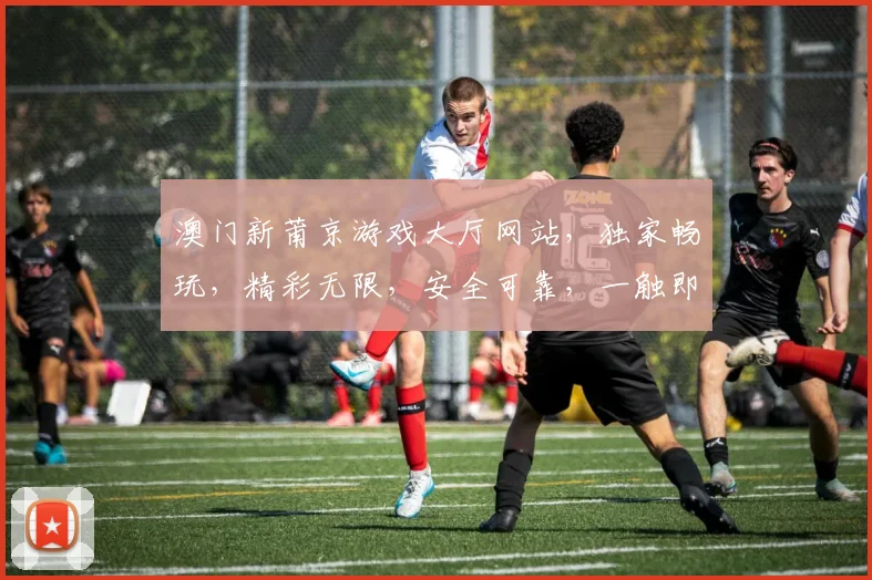 澳门新莆京游戏大厅网站，独家畅玩，精彩无限，安全可靠，一触即达
