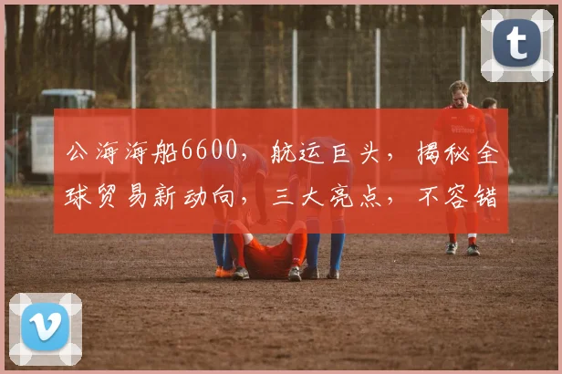 公海海船6600，航运巨头，揭秘全球贸易新动向，三大亮点，不容错过