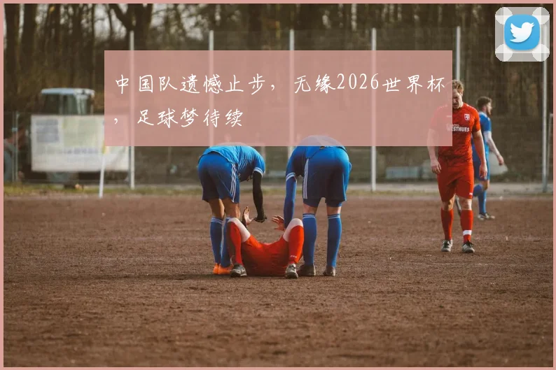 中国队遗憾止步，无缘2026世界杯，足球梦待续