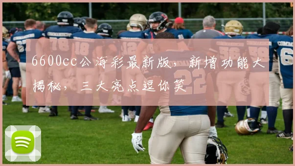 6600cc公海彩最新版，新增功能大揭秘，三大亮点逗你笑