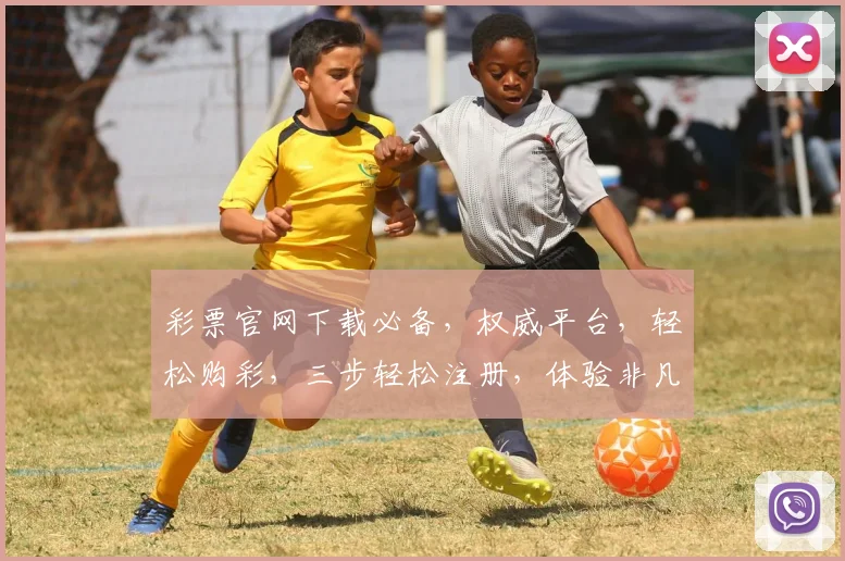 彩票官网下载必备，权威平台，轻松购彩，三步轻松注册，体验非凡乐趣，赢取大奖